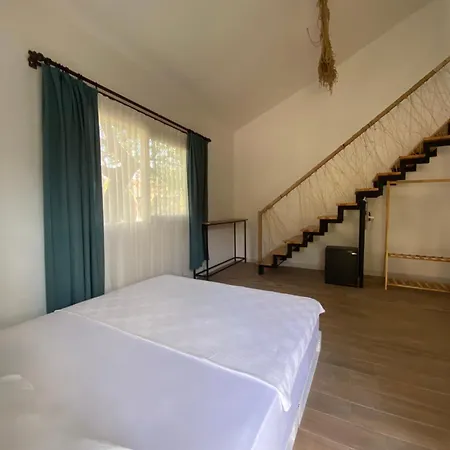 Séjour chez l'habitant Marina Loft Çıralı