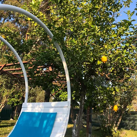 Marina Loft 홈스테이