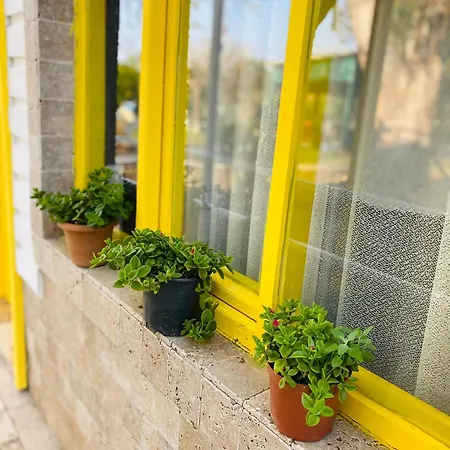 홈스테이 Marina Loft Çıralı