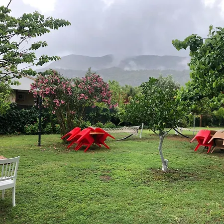 Marina Loft 民宿 Çıralı