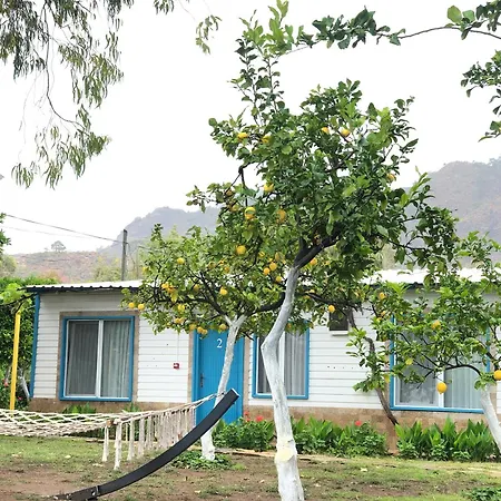 Marina Loft Homestay *